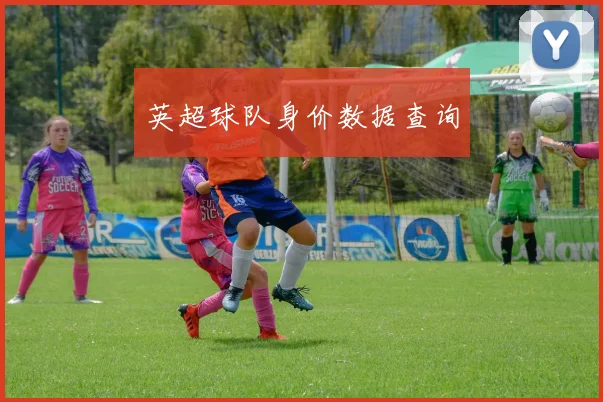 英超球队身价数据查询